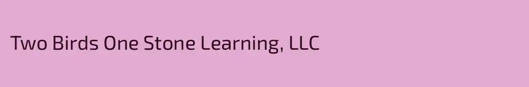 Two Birds One Stone Learning, LLC